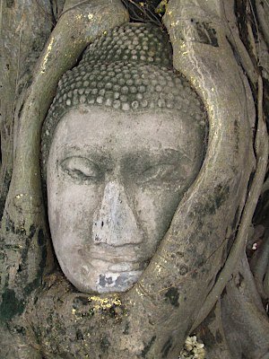 buddha_5